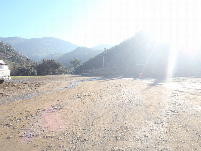 P2060260.jpg