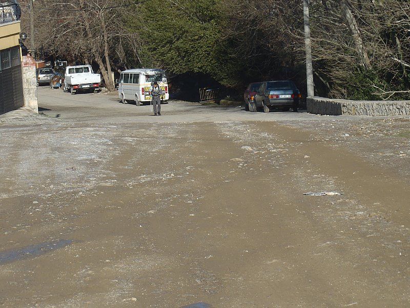 P2060261.jpg