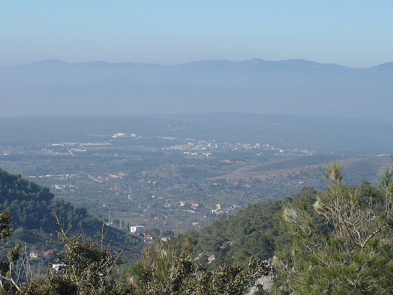P2060269.jpg