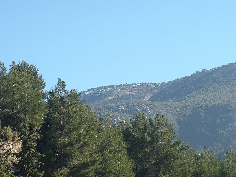 P2060272.jpg