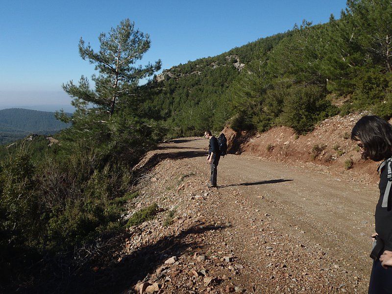 P2060274.jpg