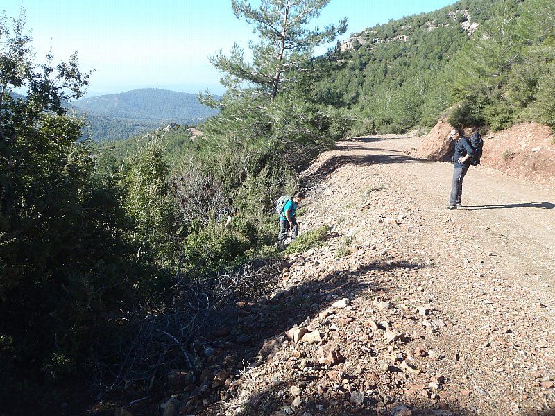 P2060275.jpg