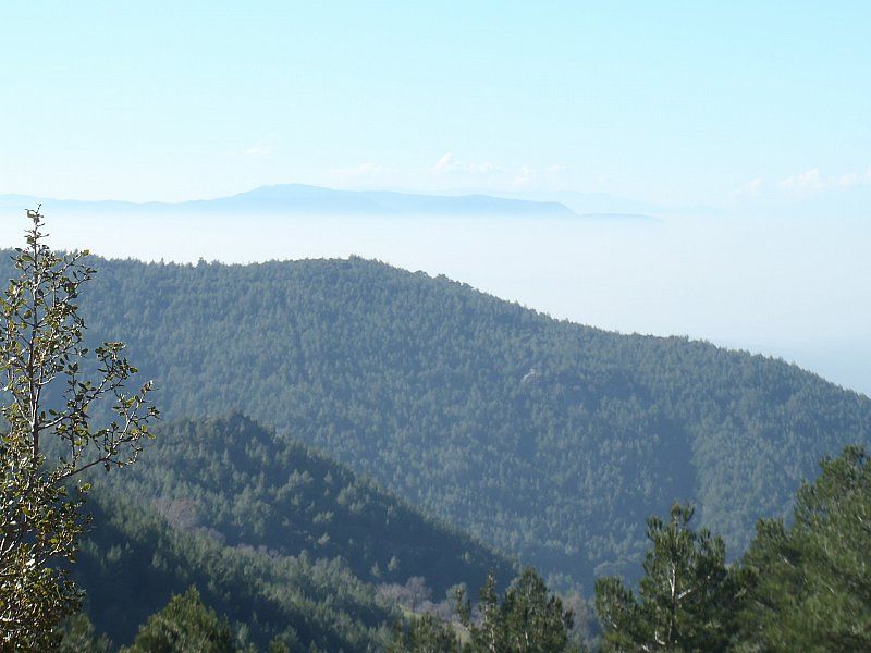 P2060282.jpg