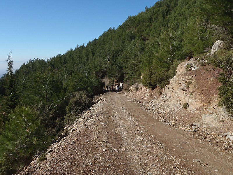 P2060284.jpg
