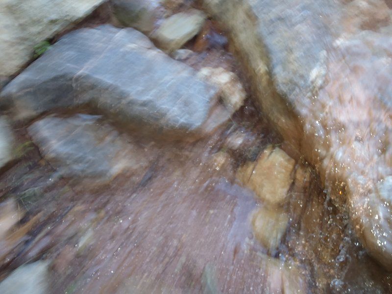 P2060289.jpg