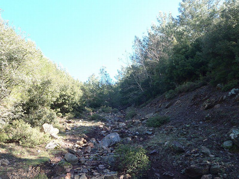 P2060292.jpg
