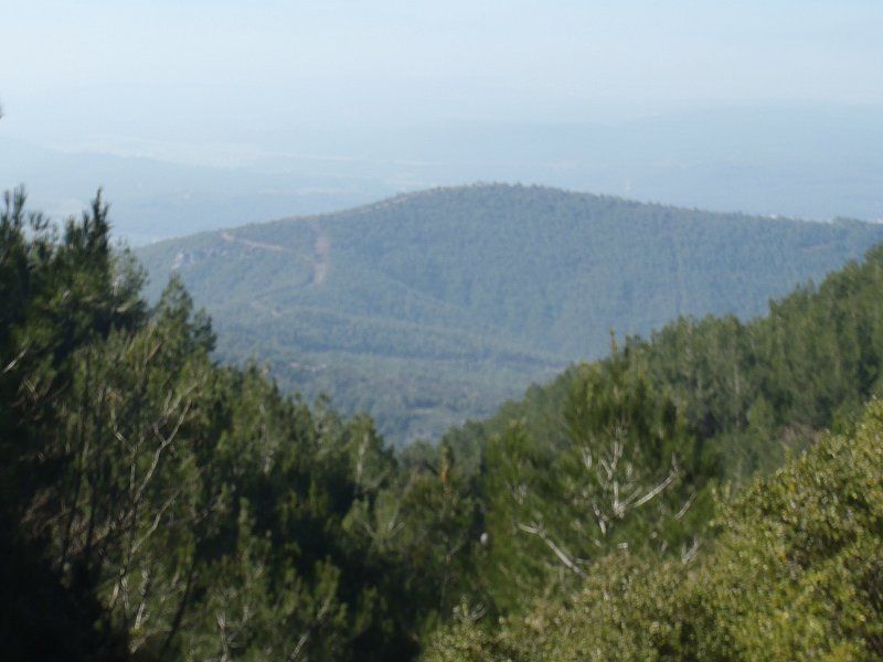 P2060293.jpg