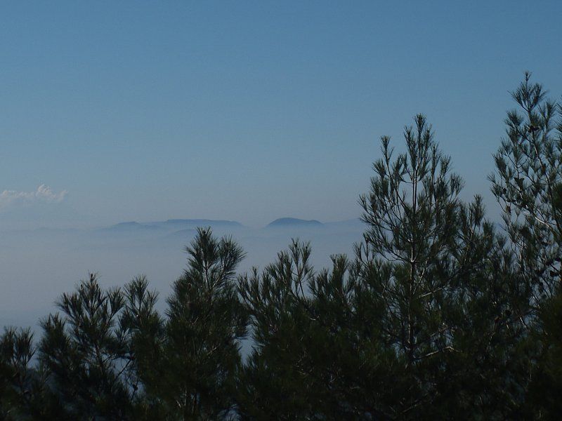 P2060298.jpg