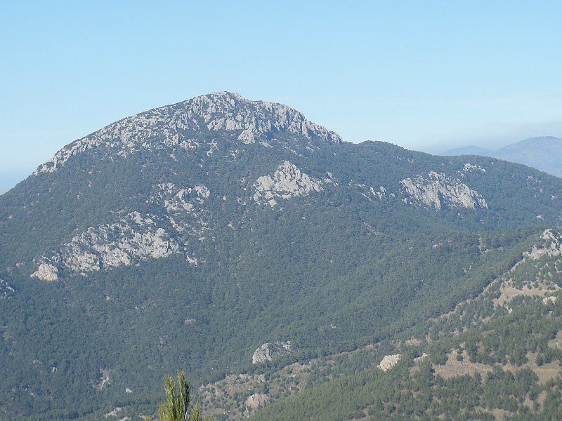 P2060302.jpg