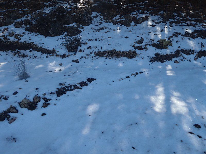 P2060304.jpg