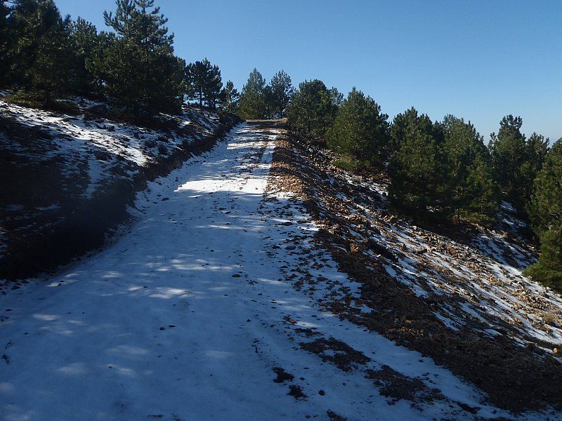 P2060306.jpg