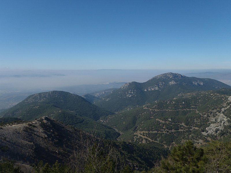 P2060315.jpg