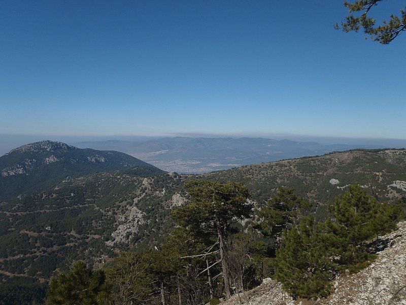 P2060316.jpg
