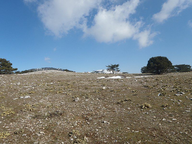 P2060324.jpg