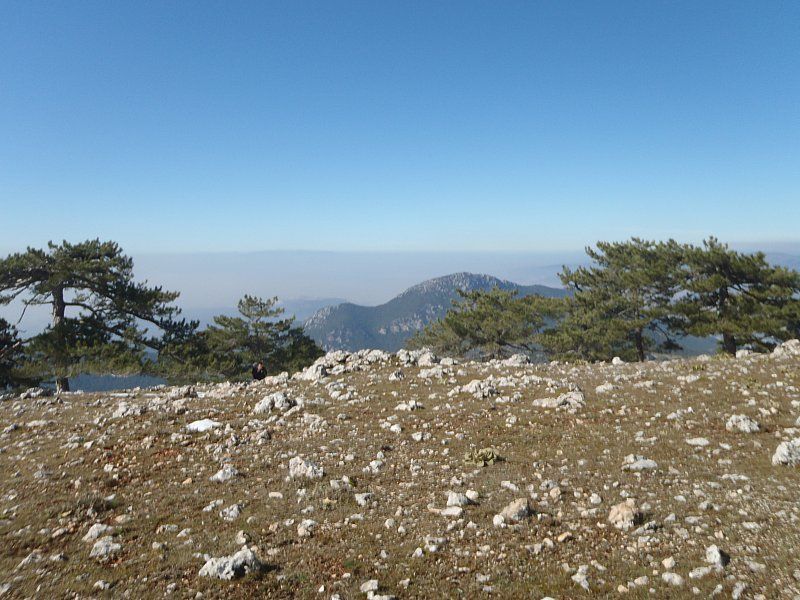P2060325.jpg