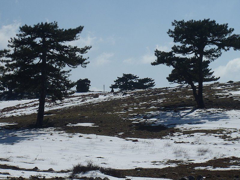 P2060326.jpg