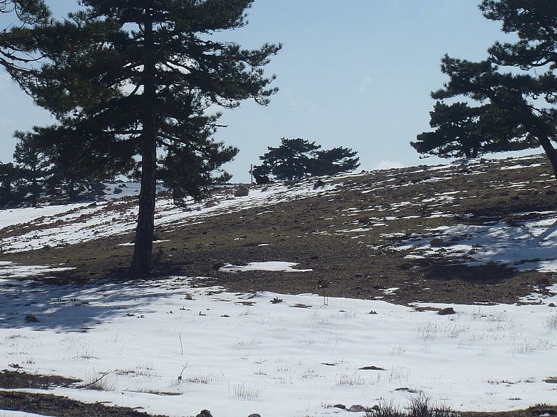 P2060327.jpg