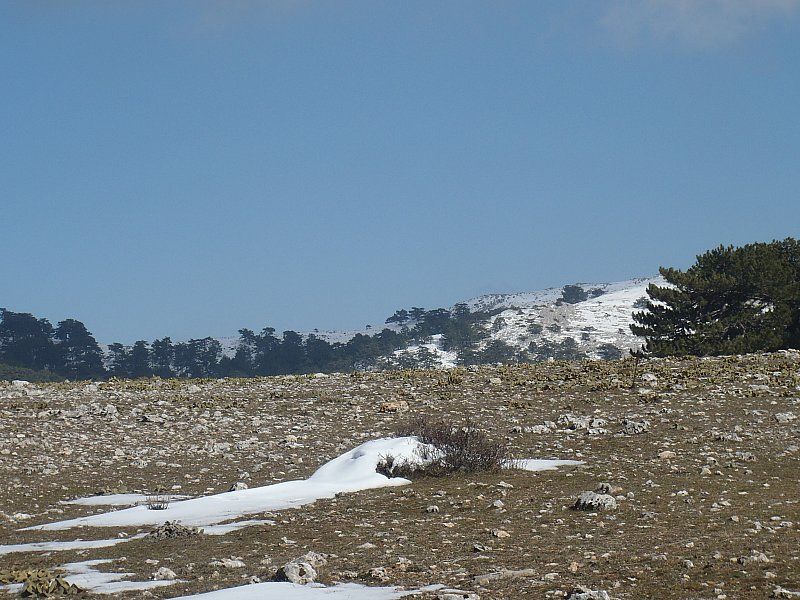 P2060331.jpg