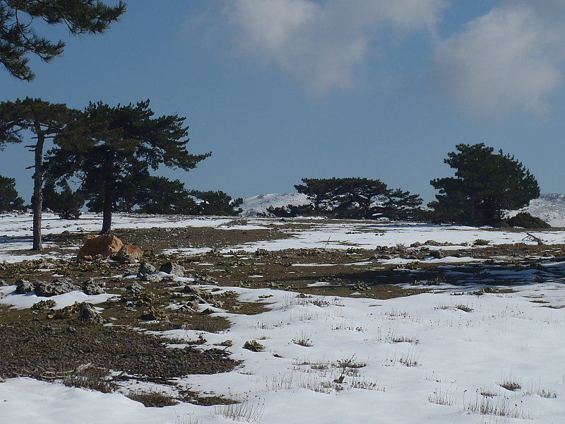 P2060332.jpg
