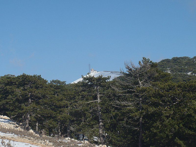 P2060334.jpg