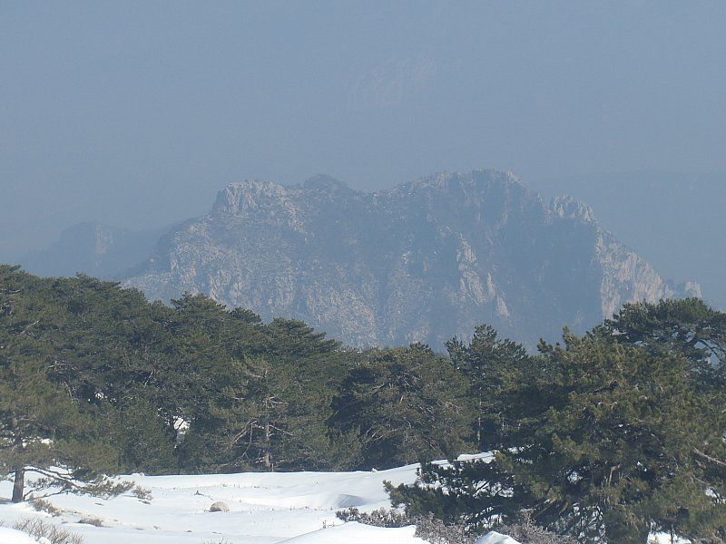 P2060342.jpg
