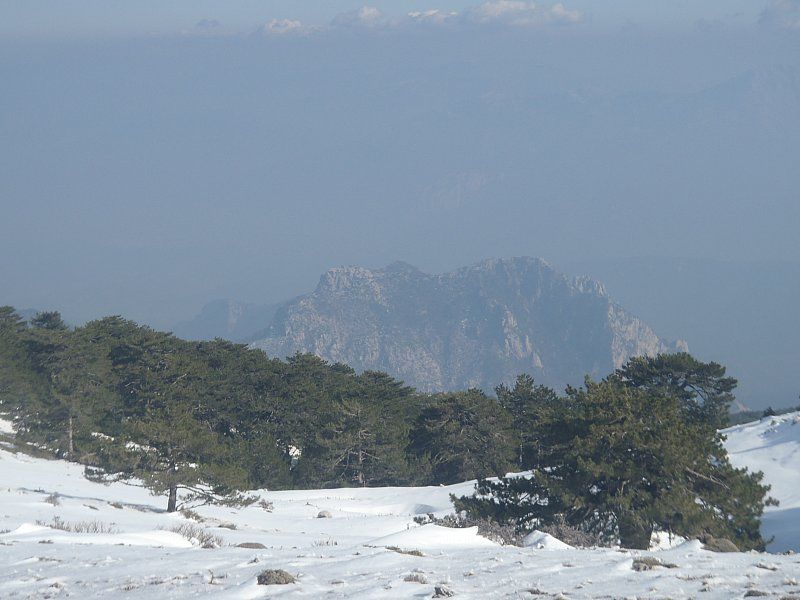 P2060343.jpg