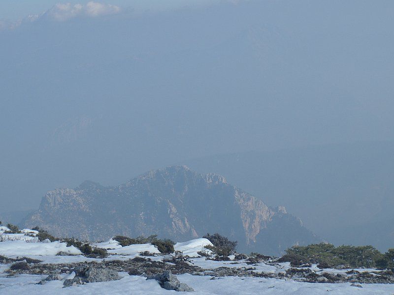 P2060345.jpg