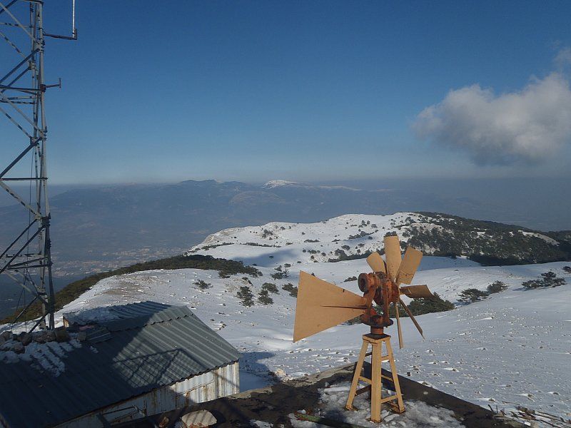 P2060346.jpg