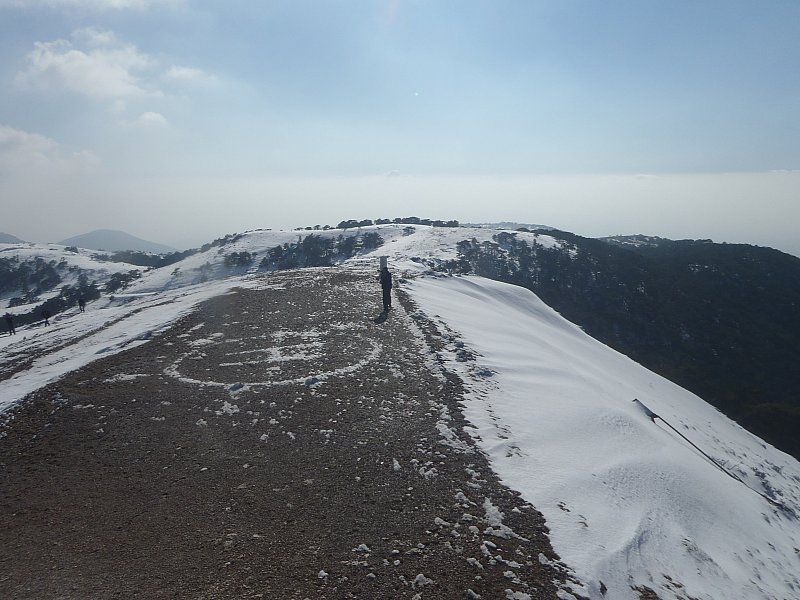 P2060350.jpg