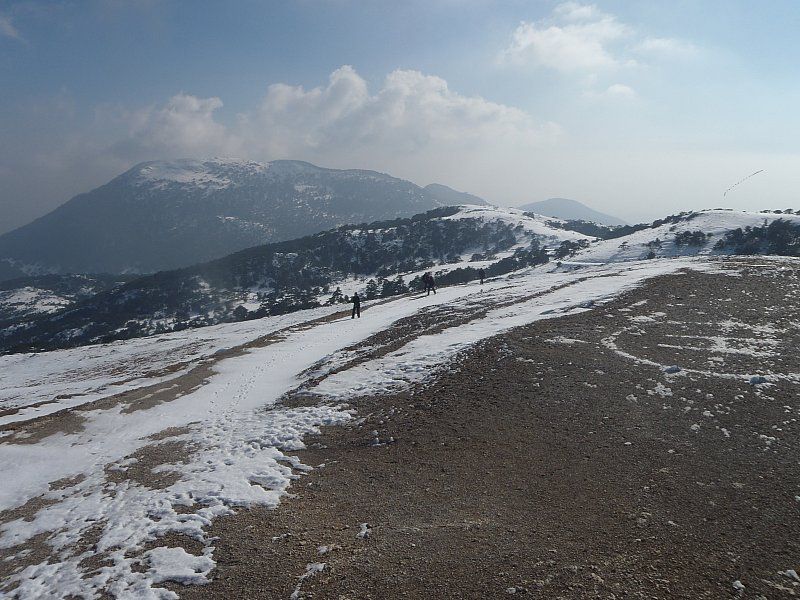 P2060351.jpg