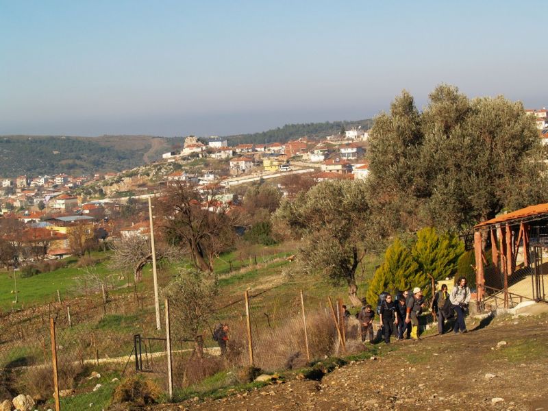 P2064095.jpg