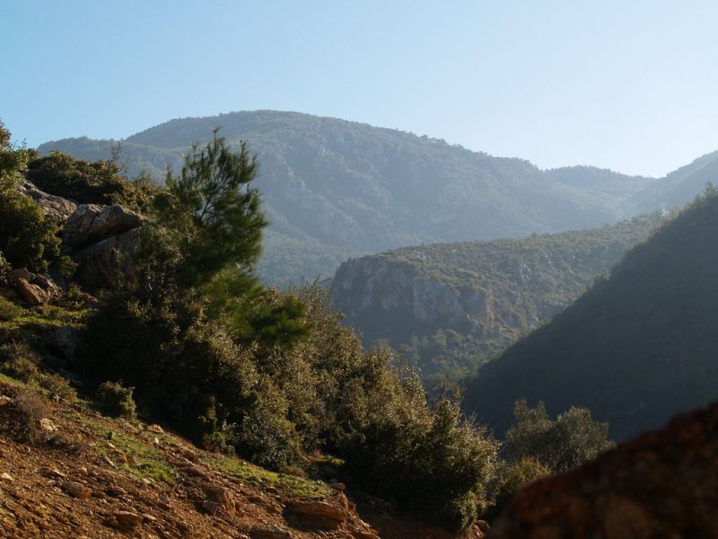 P2064096.jpg