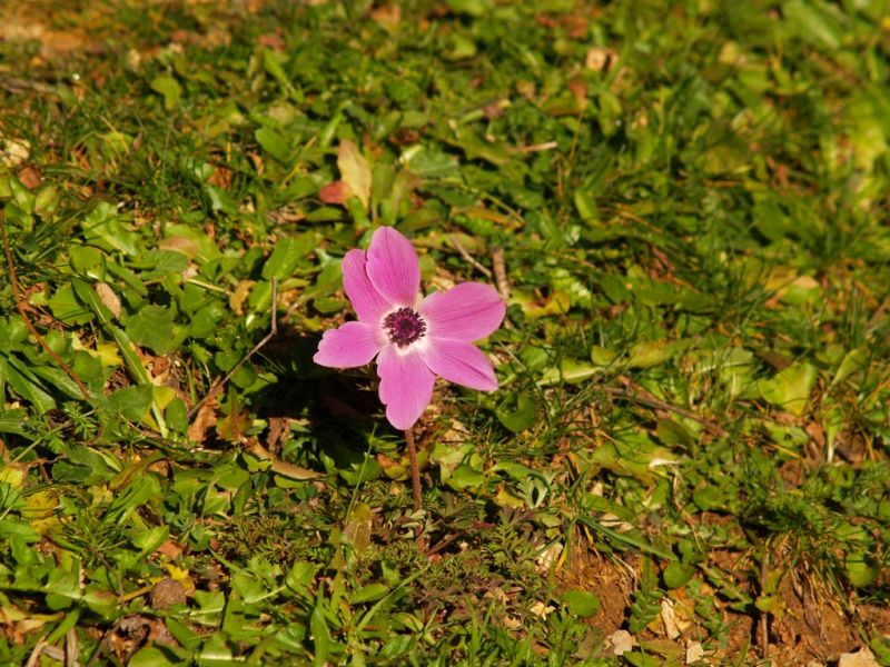 P2064100.jpg