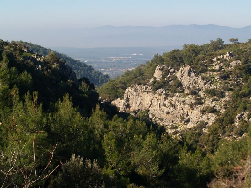 P2064105.jpg