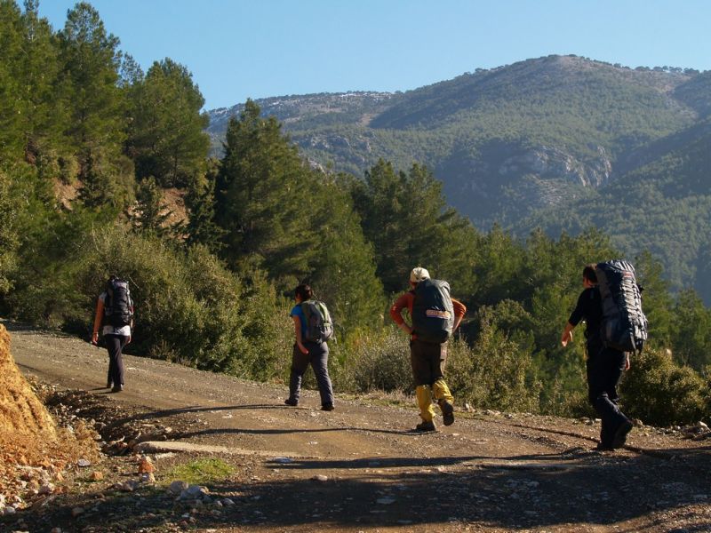 P2064122.jpg