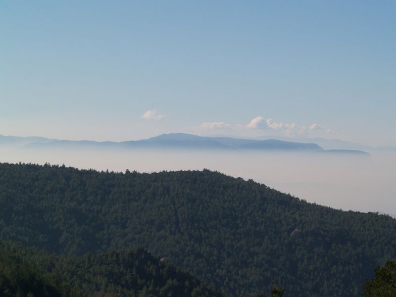 P2064131.jpg