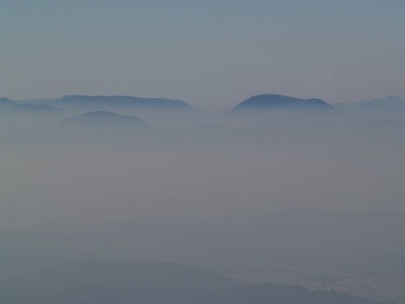P2064133.jpg