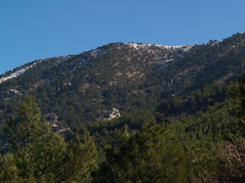 P2064134.jpg