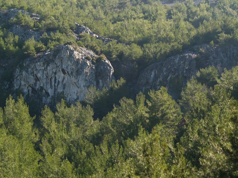 P2064137.jpg