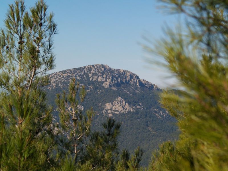 P2064146.jpg
