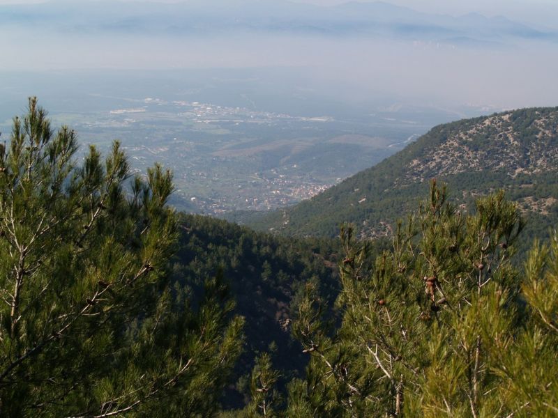 P2064149.jpg