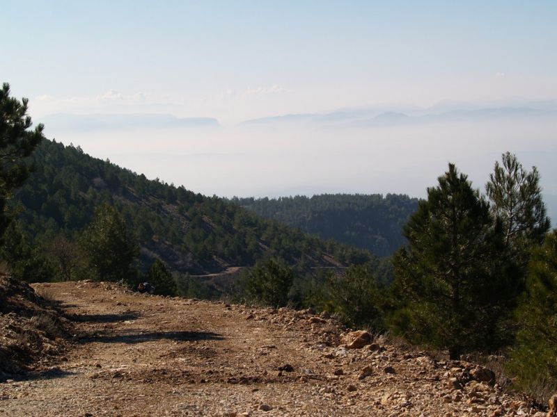 P2064151.jpg