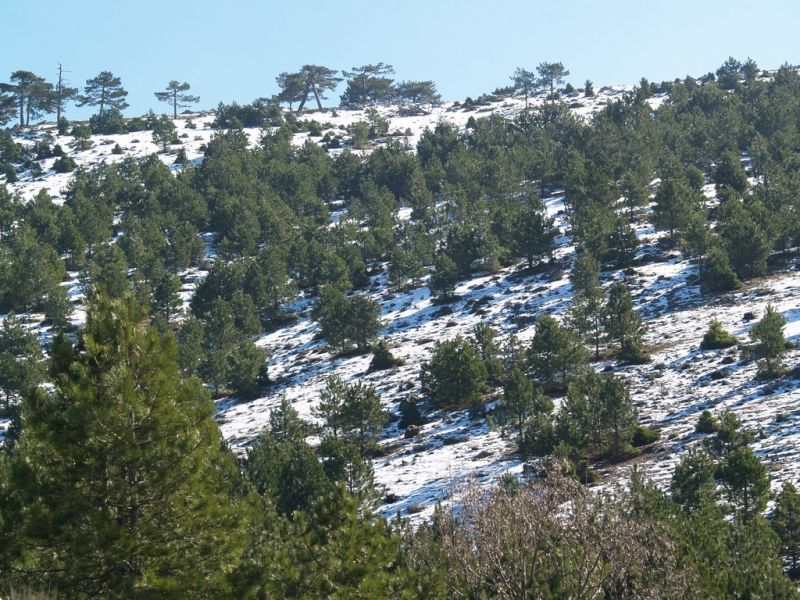 P2064155.jpg