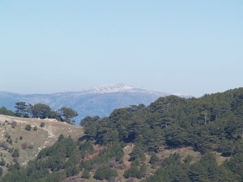 P2064161.jpg