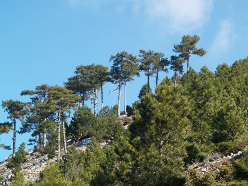 P2064162.jpg