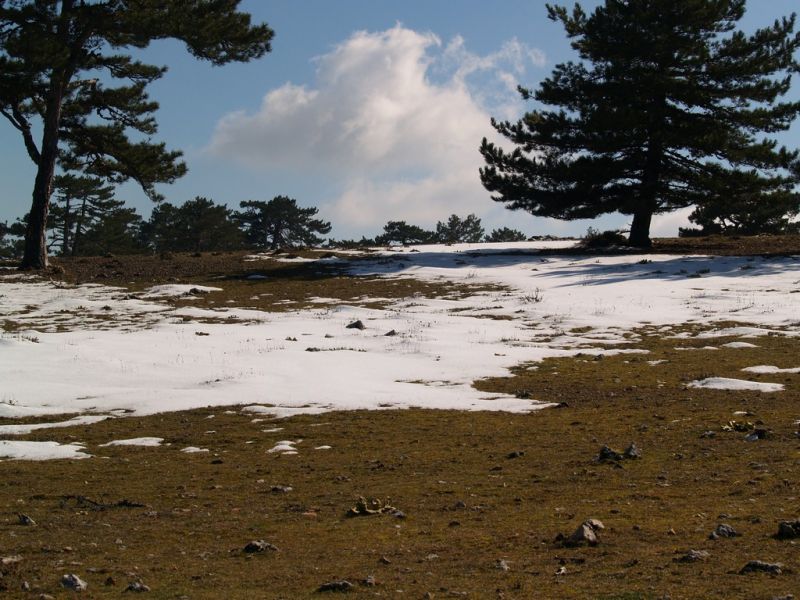 P2064221.jpg