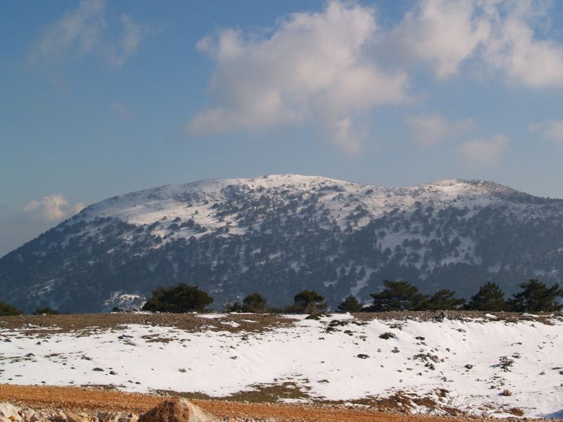 P2064224.jpg