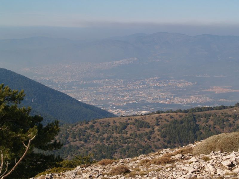 P2064225.jpg