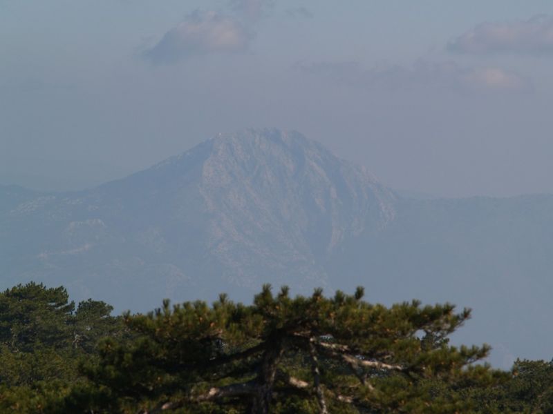 P2064226.jpg
