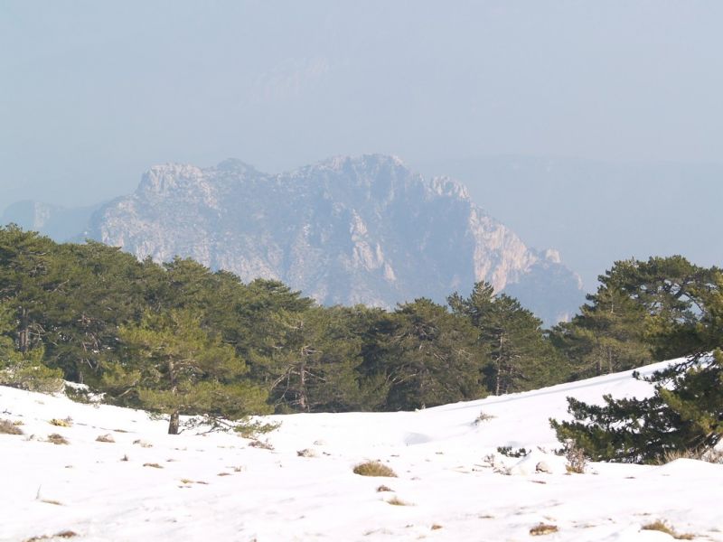 P2064276.jpg
